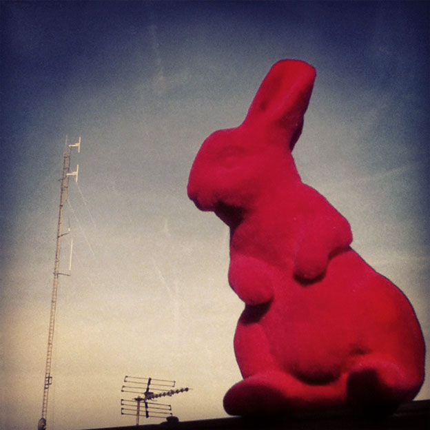 pink-rabbit