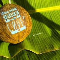  Happy New Year 2016 - Painting on coconut