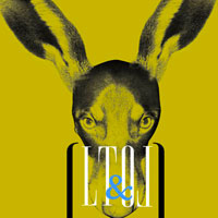 Banner - "La truffe & les Oreilles" Blog