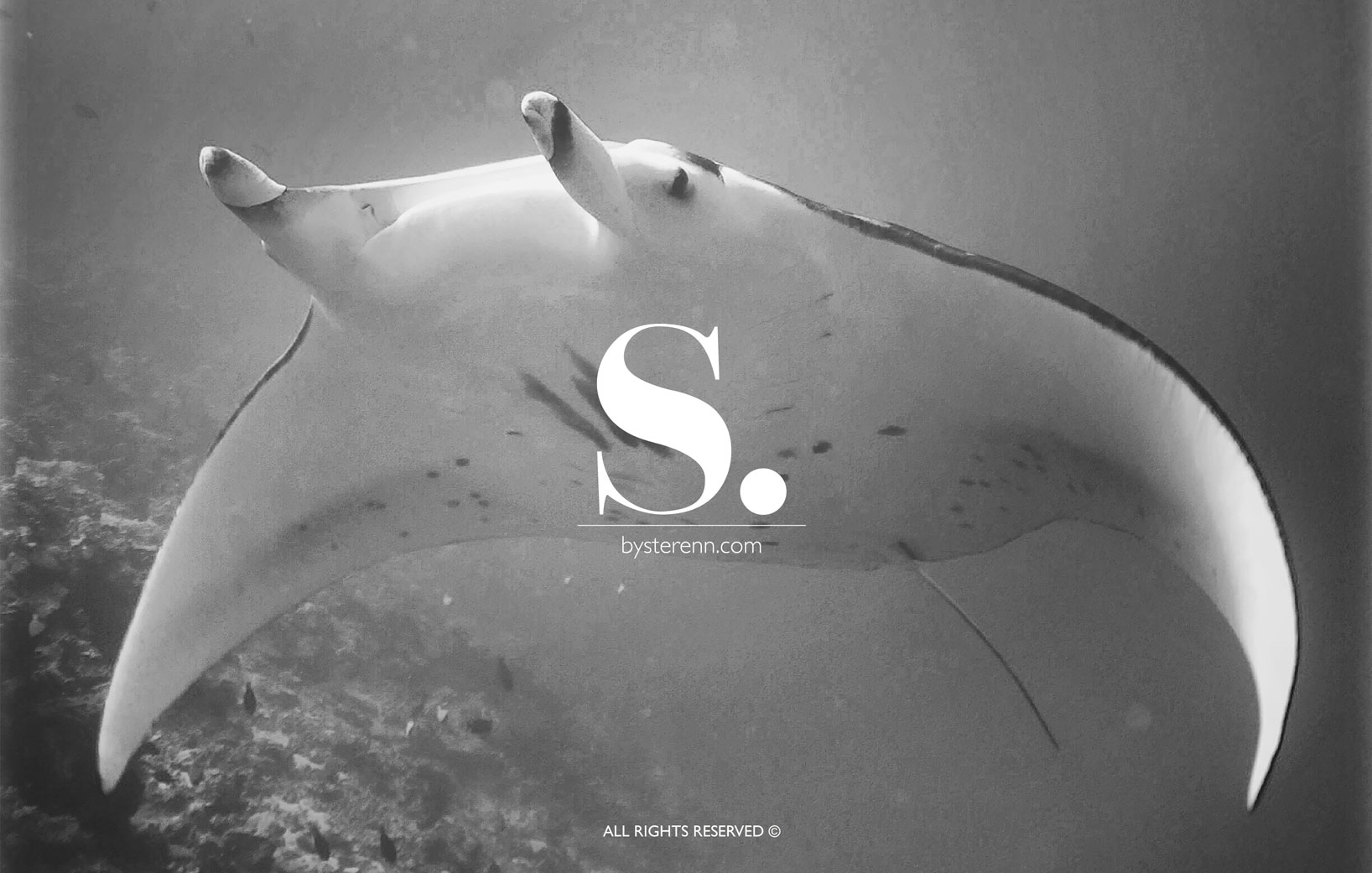 Home_manta_ray_2019_web_ok.jpg