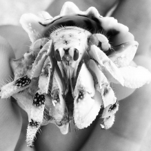 "Jean-Bernard"- Rangiroa, French Polynesia