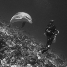 "Sweet Meeting"- Rangiroa, French Polynesia