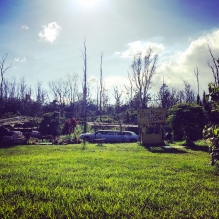 "Car Into the wild" - Big Island, Hawaii